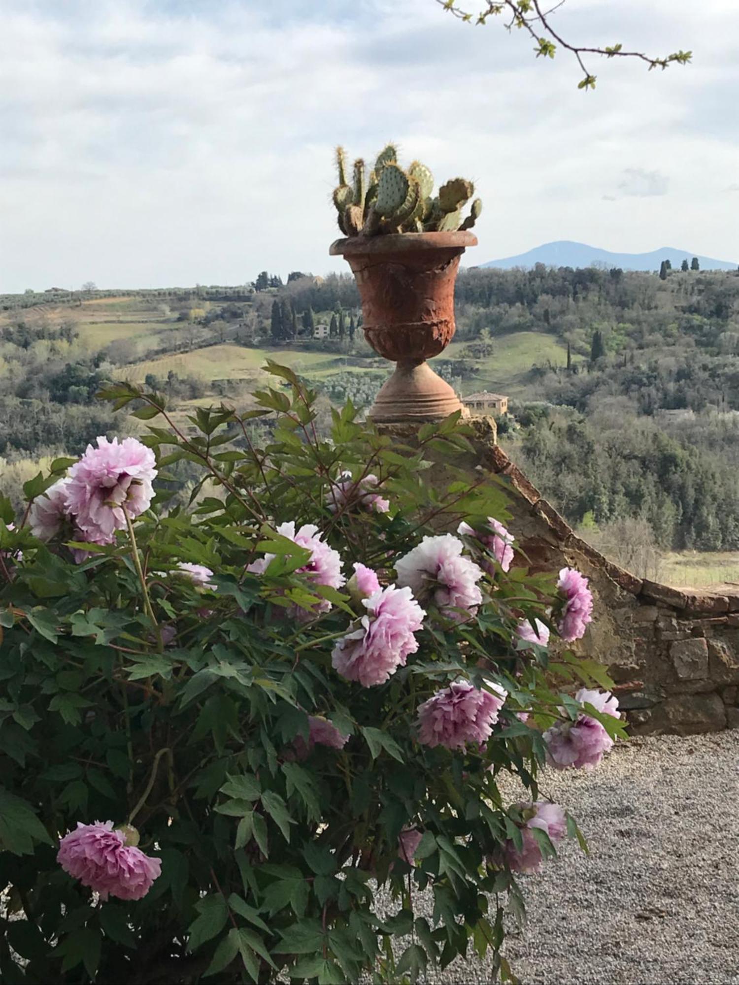 Borgo La Grancia Hotel Montisi Exterior photo