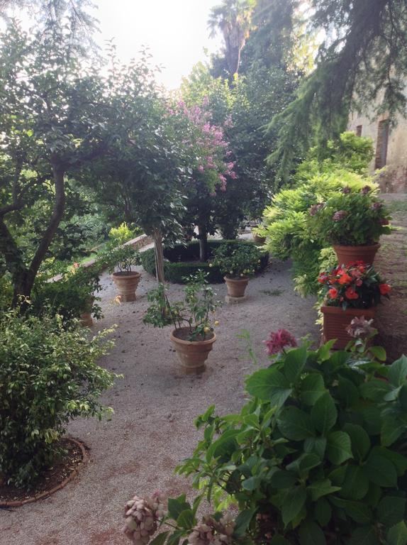 Borgo La Grancia Hotel Montisi Exterior photo